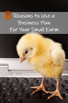 a small yellow chicken sitting on top of a laptop keyboard with the words 8 reasons to use a business plan for your small farm