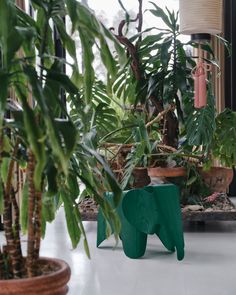 an elephant shaped planter sitting next to a potted plant in a living room