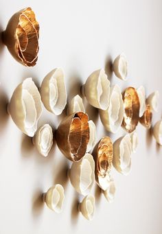 an arrangement of shells arranged on a white wall with gold leafy petals hanging from them