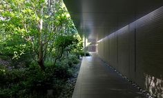 the walkway is lined with rocks and plants, leading to a building that has a light at the end