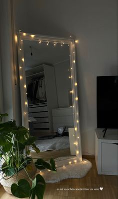 there is a mirror with lights on it and a plant in front of the mirror