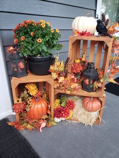 an assortment of pumpkins and other autumn decorations