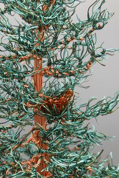 a close up of a small tree with green leaves and brown branches on it's trunk