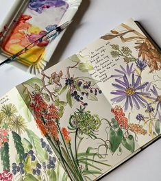 an open book sitting on top of a white table next to a plate with flowers