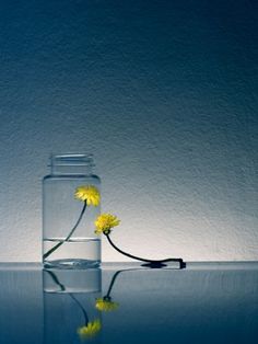 a glass vase filled with water and yellow flowers sitting on top of a reflective surface