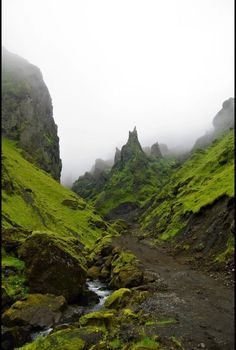 a small stream running through a lush green mountain valley with moss growing on the rocks