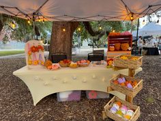 the table is set up with baskets and stuffed animals on it for an outdoor party