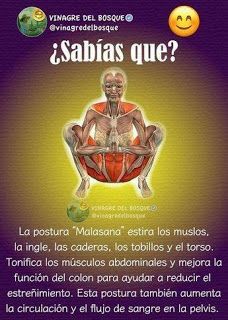 an image of a poster with the caption's description in spanish and english