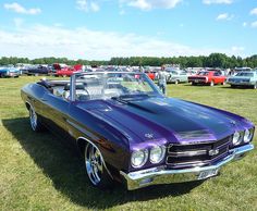 a purple and black car parked on top of a grass covered field next to other cars