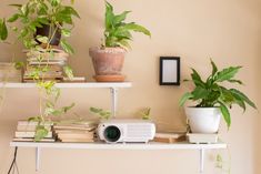 a small projector sitting on top of a white shelf next to a potted plant