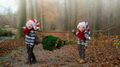 two young boys carrying christmas trees in the woods