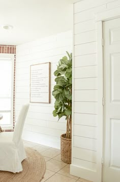 a dining room table with white chairs and a potted plant in the corner next to it