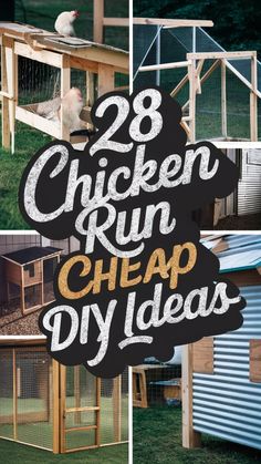 the chicken run cheap diy ideas are easy to make and great for small chickens