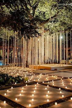 many candles are lit on the ground in front of a tree with lights hanging from it