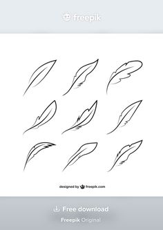 the drawing process for how to draw feathers with this simple step - by - step guide