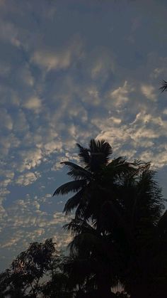 the sky is filled with clouds and palm trees