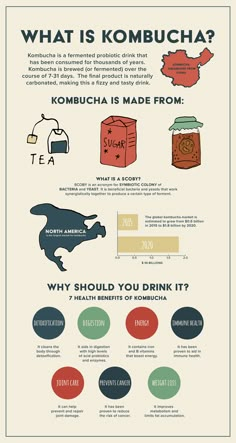 the history of kombucha info graphic