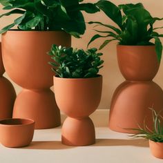 there are many potted plants in the shape of vases on the table next to each other