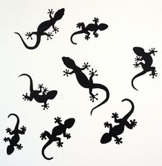 the silhouettes of lizards are shown in black against a white background