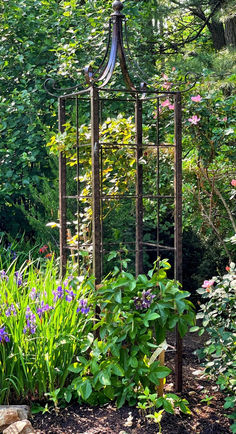 a garden with lots of plants and flowers