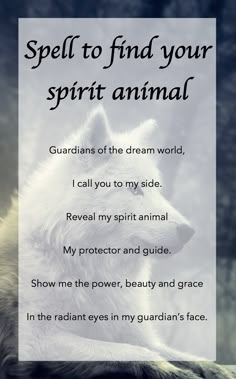 Spells To See Spirits, Find Your Spirit Animal, Witchcraft Spells, Spell Books, Witch Stuff