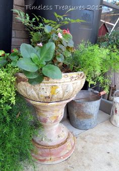 two buckets with plants in them sitting on the ground