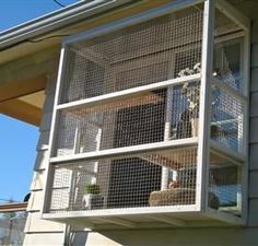 a bird cage on the side of a house