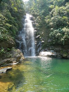 a large waterfall in the middle of a forest filled with green trees and water flowing down it's sides