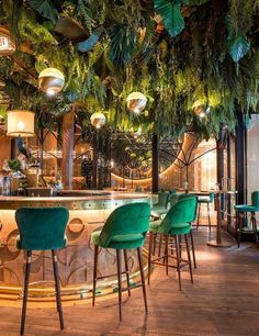 a bar with green chairs and plants hanging from the ceiling, in front of it