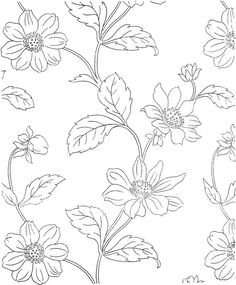 a drawing of flowers on a white background