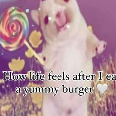 a pig holding a lollipop in its mouth with the caption how life feels after i eat a yummy burger