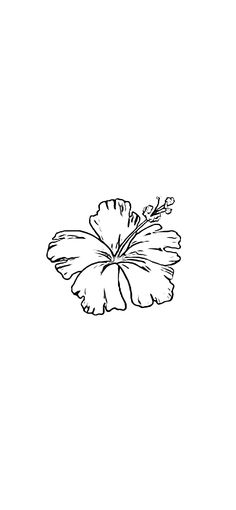 a black and white drawing of a flower