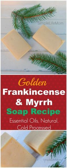 golden frankinensee and myrr soap recipe with pine branches on the side