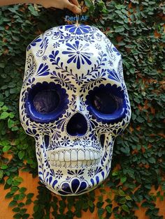 a blue and white skull hanging on a wall with ivy growing around it's sides