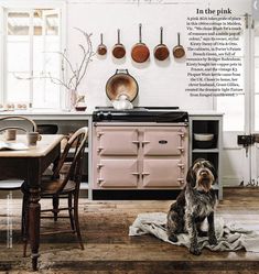 a dog is sitting on a rug in front of an old fashioned stove and oven