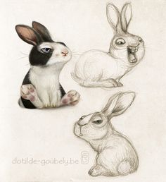 three rabbits sitting next to each other with their mouths open and one rabbit looking at the camera