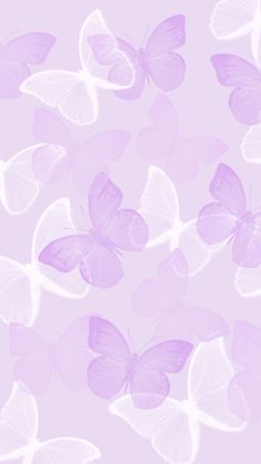 pink butterflies flying in the air on a light purple background with space for your text