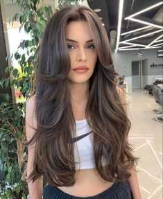 Medium Brown Hair With Layers And Curtain Bangs, Haircut Curtain Bangs, Haircuts For Long Hair With Layers, Hairstyles For Layered Hair, Haircuts Straight Hair, Long Hair With Bangs