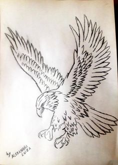 a drawing of an eagle flying in the sky