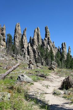 some very tall rocks and trees on a sunny day