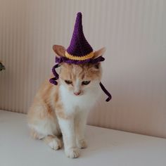 an orange and white cat wearing a purple crocheted hat with horns on it's head