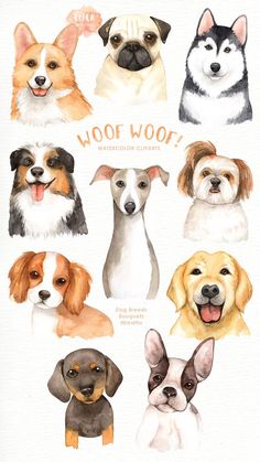 a watercolor drawing of different dogs with the words woof woof on it