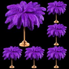 purple ostrich feathers are placed on gold bases and stand in front of a black background