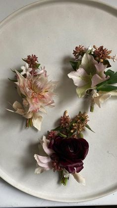 three flowers are placed on a white plate