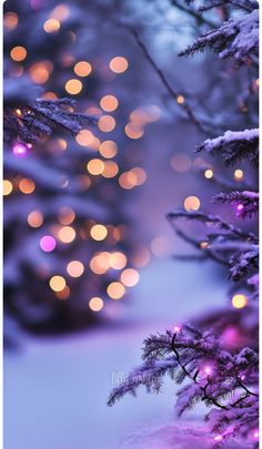 a purple christmas tree with lights in the background and snow on the ground below it