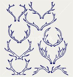 four deer's heads with antlers drawn in blue ink on a white background