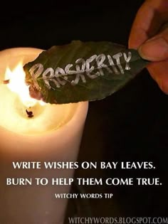 I usually keep the leaf in a safe place, then burn it when my wish comes true. I also write it as specific as I can get (using pencil works cause it writes on the leaf better abd you can write smaller) Cer Nocturn, Magia Das Ervas, Magick Spells, Witch Spell, Wiccan Spells, White Magic, Bay Leaves, Spells Witchcraft, Harvest Moon