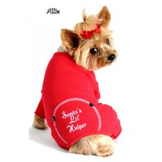 a small dog wearing a red sweater with a heart on it's chest and the words souvenir du pouper written in white