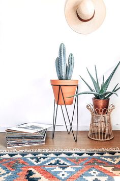 there is a potted plant next to a rug and a hat on the wall