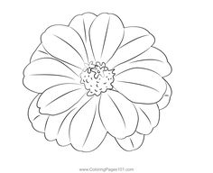 a flower that is drawn in black and white